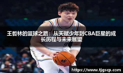 王哲林的篮球之路：从天赋少年到CBA巨星的成长历程与未来展望